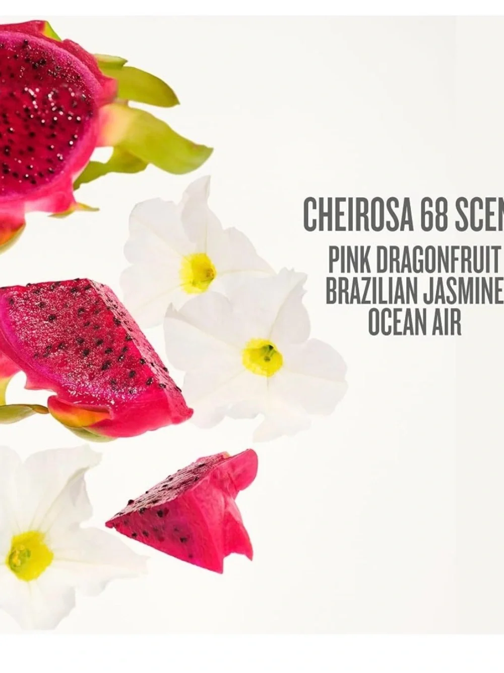 Sol de Janeiro Beija Flor Elasti-Cream Pink Jar and Box